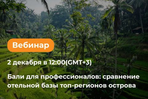 Бали для профессионалов: сравнение отельной базы топ-регионов острова